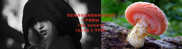 гидропоника Аркадак