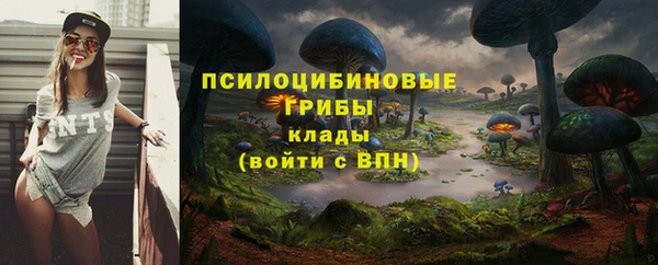 apvp Арсеньев